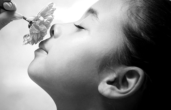 短信网页在线轰炸